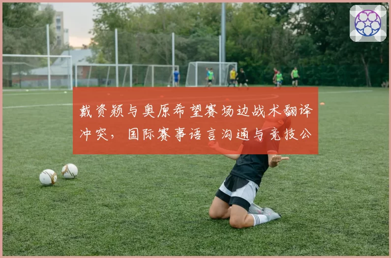 戴资颖与奥原希望赛场边战术翻译冲突,国际赛事语言沟通与竞技公平性