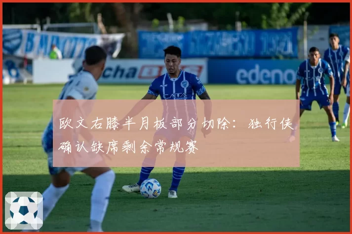 欧文右膝半月板部分切除：独行侠确认缺席剩余常规赛