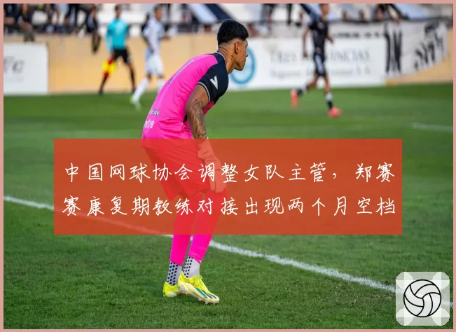 中国网球协会调整女队主管，郑赛赛康复期教练对接出现两个月空档