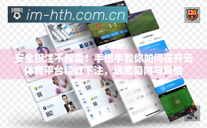 全球访问热力分布图